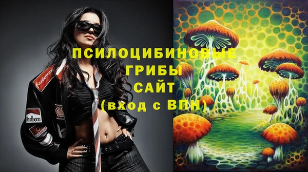 прущие грибы Белоозёрский