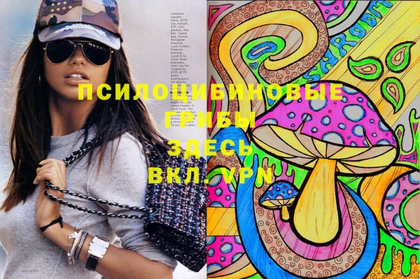 спиды Белокуриха