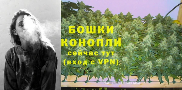 спиды Белокуриха
