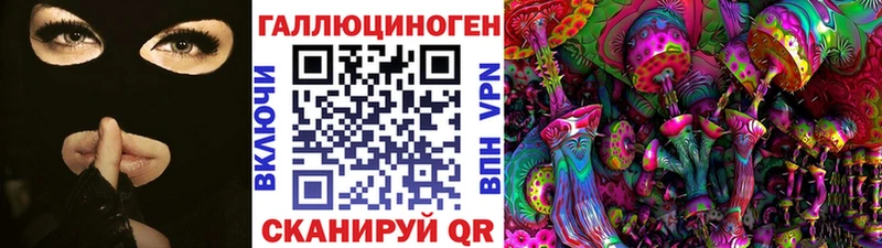 Псилоцибиновые грибы Psilocybe Купить Балабаново